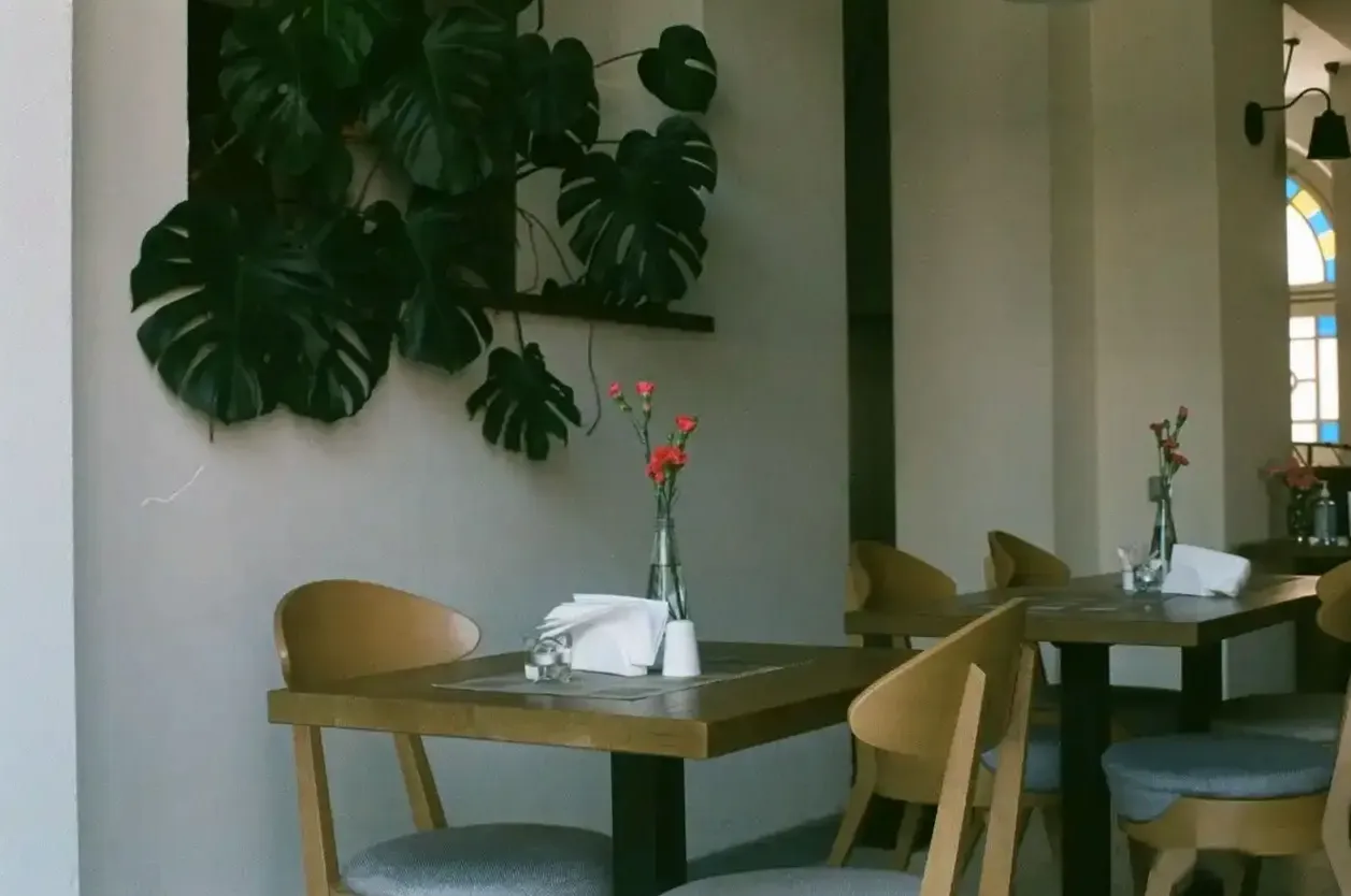 Florysta sprawdzający liście monstery