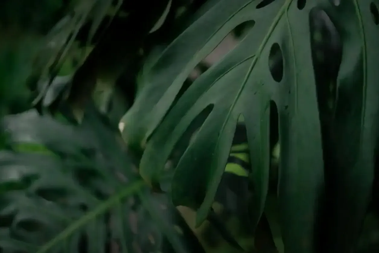 Wnętrze sklepu przy Floriańskiej